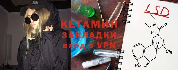 индика Абаза