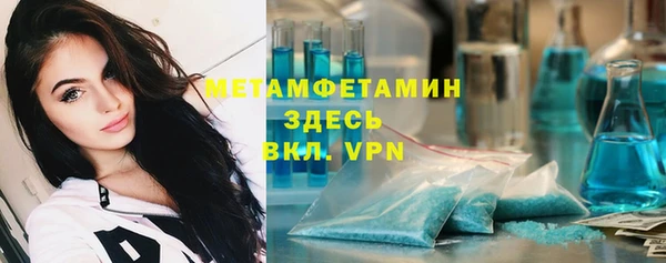 индика Абаза