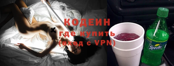 индика Абаза