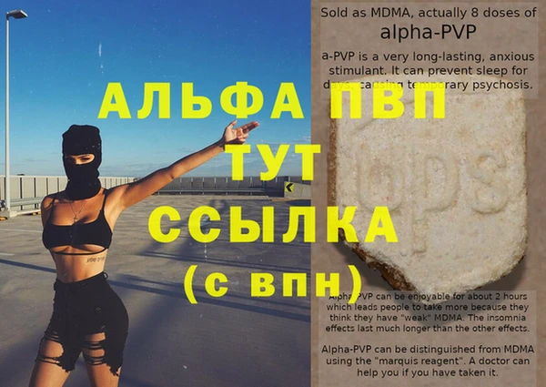 индика Абаза