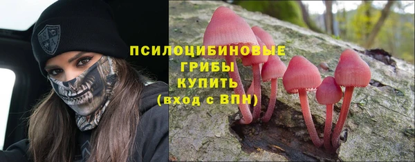 индика Абаза
