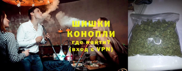 индика Абаза