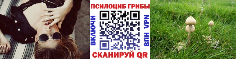 Галлюциногенные грибы Psilocybine cubensis Каменск-Шахтинский