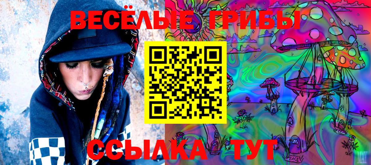 сколько стоит  Псилоцибиновые грибы Psilocybe  Каменск-Шахтинский  Вход с VPN  Псилоцибиновые грибы MAGIC MUSHROOMS 